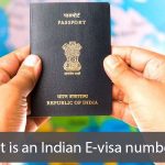 What is an Indian E-visa number?