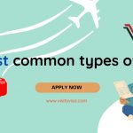 What are the 4 most common types of visas?