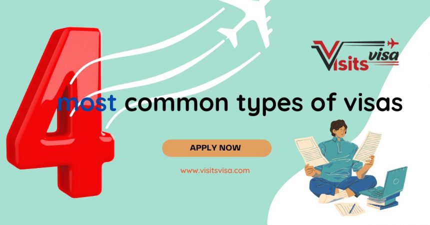 What are the 4 most common types of visas?