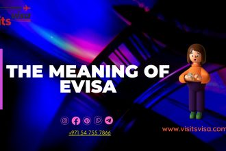 What is the meaning of eVisa?
