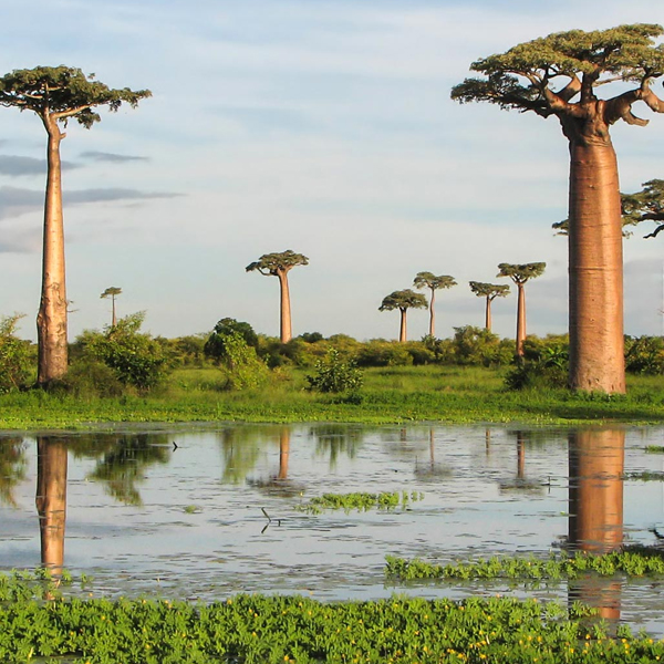 Madagascar